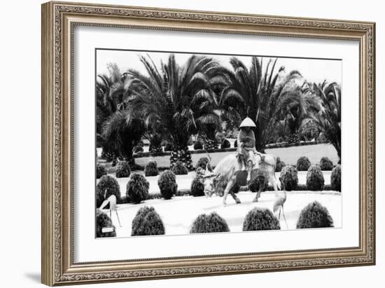 Hollywood, California - Bernheimer Residence, Man on Water Buffalo Photo-Lantern Press-Framed Art Print