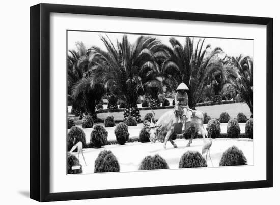 Hollywood, California - Bernheimer Residence, Man on Water Buffalo Photo-Lantern Press-Framed Art Print