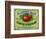 Hollywood, California - Peterson's Cider Vinegar Label-Lantern Press-Framed Art Print