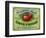 Hollywood, California - Peterson's Cider Vinegar Label-Lantern Press-Framed Art Print