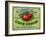 Hollywood, California - Peterson's Cider Vinegar Label-Lantern Press-Framed Art Print