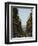 Hollywood Hills and the Hollywood Sign, Los Angeles, California, USA-Kober Christian-Framed Photographic Print