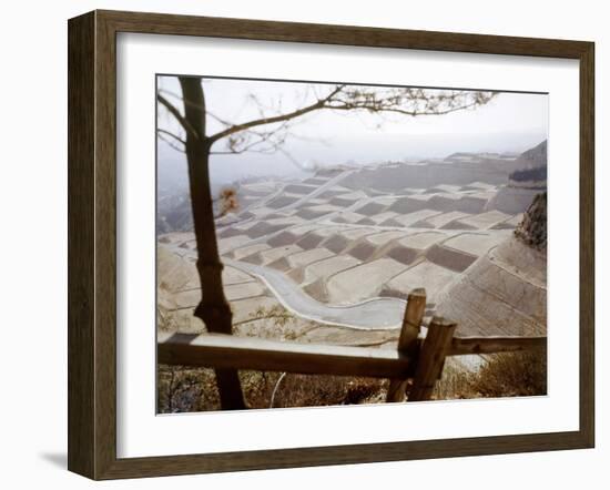 Hollywood Hills Leveled Plots of Land Ready for Private Homes, Los Angeles, California 1959-Ralph Crane-Framed Photographic Print