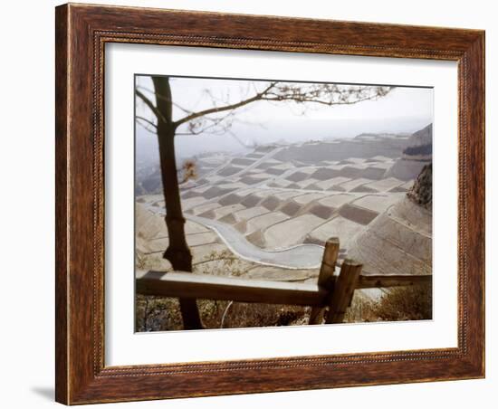 Hollywood Hills Leveled Plots of Land Ready for Private Homes, Los Angeles, California 1959-Ralph Crane-Framed Photographic Print