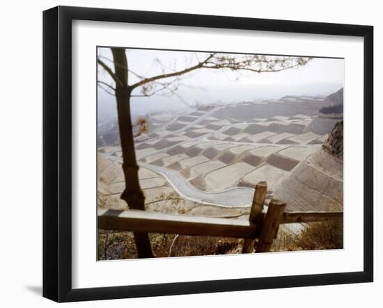 Hollywood Hills Leveled Plots of Land Ready for Private Homes, Los Angeles, California 1959-Ralph Crane-Framed Photographic Print