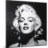 Hollywood icon-Abstract Graffiti-Mounted Giclee Print