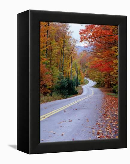 Hollywood Rd at Route 28, Adirondack Mountains, NY-Jim Schwabel-Framed Premier Image Canvas