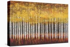 Golden Aspens-Robert Holman-Art Print