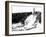 Holmenkollbakken Skiing-null-Framed Photographic Print