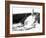 Holmenkollbakken Skiing-null-Framed Photographic Print