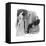 Holmes and Mrs. St. Clair-Sidney Paget-Framed Premier Image Canvas