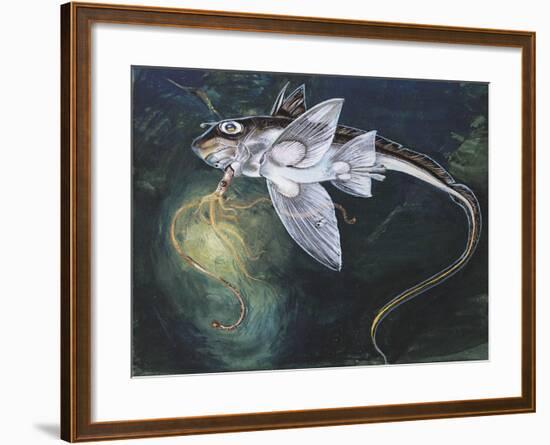 Holocephali Swimming Underwater (Chimaera Monstrosa)-null-Framed Giclee Print