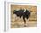 Holstein Cow Full of Milk-DLILLC-Framed Photographic Print