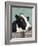 Holstein Cow I-Jade Reynolds-Framed Art Print