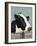 Holstein Cow I-Jade Reynolds-Framed Art Print