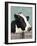 Holstein Cow I-Jade Reynolds-Framed Art Print