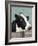 Holstein Cow I-Jade Reynolds-Framed Art Print