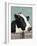 Holstein Cow I-Jade Reynolds-Framed Art Print