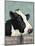 Holstein Cow I-Jade Reynolds-Mounted Art Print