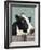 Holstein Cow I-Jade Reynolds-Framed Art Print