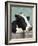 Holstein Cow I-Jade Reynolds-Framed Art Print