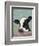 Holstein Cow II-Jade Reynolds-Framed Premium Giclee Print