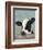 Holstein Cow II-Jade Reynolds-Framed Premium Giclee Print