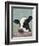 Holstein Cow II-Jade Reynolds-Framed Premium Giclee Print