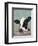 Holstein Cow II-Jade Reynolds-Framed Art Print