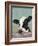 Holstein Cow II-Jade Reynolds-Framed Art Print