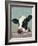 Holstein Cow II-Jade Reynolds-Framed Art Print