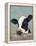 Holstein Cow II-Jade Reynolds-Framed Stretched Canvas