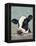 Holstein Cow II-Jade Reynolds-Framed Stretched Canvas