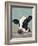 Holstein Cow II-Jade Reynolds-Framed Art Print