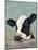 Holstein Cow II-Jade Reynolds-Mounted Art Print