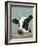 Holstein Cow II-Jade Reynolds-Framed Art Print