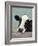 Holstein Cow III-Jade Reynolds-Framed Art Print