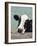 Holstein Cow III-Jade Reynolds-Framed Art Print