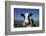 Holstein Cow-DLILLC-Framed Photographic Print