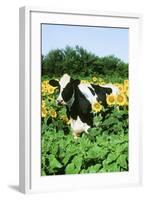 Holstein Cow-null-Framed Photographic Print