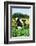 Holstein Cow-null-Framed Photographic Print