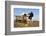 Holstein Cows-null-Framed Photographic Print