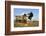 Holstein Cows-null-Framed Photographic Print