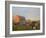 Holstein dairy cows outside a barn, Boyd, Wisconsin, USA-Chuck Haney-Framed Photographic Print