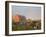 Holstein dairy cows outside a barn, Boyd, Wisconsin, USA-Chuck Haney-Framed Photographic Print