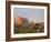 Holstein dairy cows outside a barn, Boyd, Wisconsin, USA-Chuck Haney-Framed Photographic Print