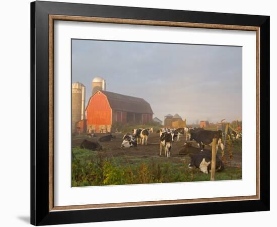 Holstein dairy cows outside a barn, Boyd, Wisconsin, USA-Chuck Haney-Framed Photographic Print