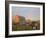 Holstein dairy cows outside a barn, Boyd, Wisconsin, USA-Chuck Haney-Framed Photographic Print