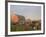 Holstein dairy cows outside a barn, Boyd, Wisconsin, USA-Chuck Haney-Framed Photographic Print