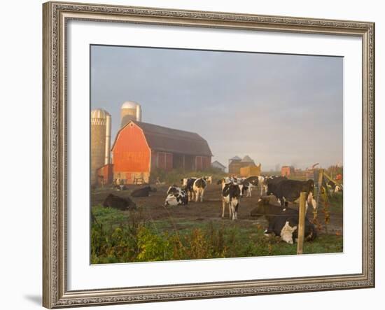 Holstein dairy cows outside a barn, Boyd, Wisconsin, USA-Chuck Haney-Framed Photographic Print